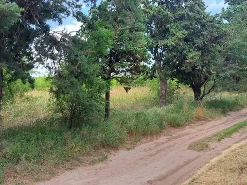 Continuación De Boulevard Olivero