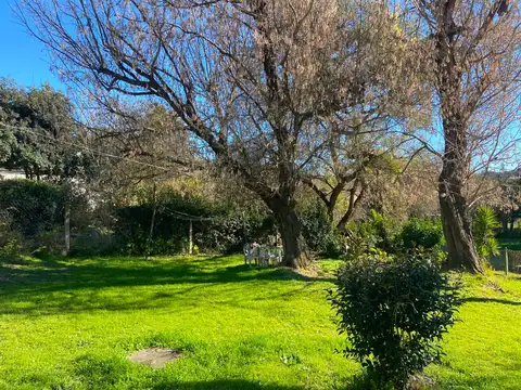 Domingo Pesasi 400