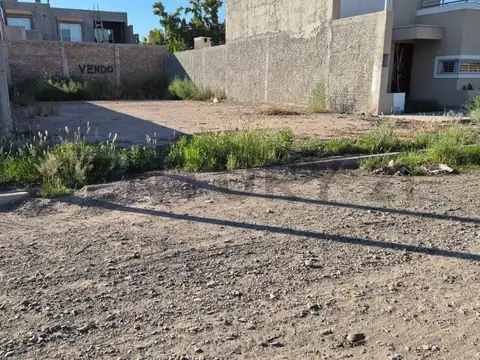 PEDRO PASCUAL SEGURA 1400, Piso 0