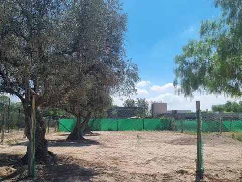 Venta Lote/ TERRUÑOS DE ARAOZ III/ Lujan de Cuyo