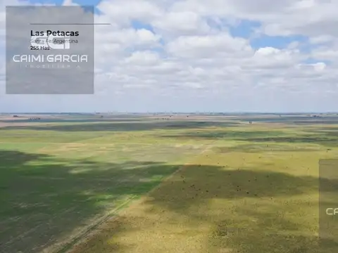 Campo de 255 hectáreas en Las Petacas, Santa Fe
