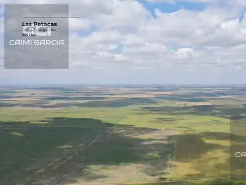 Campo de 255 hectáreas en Las Petacas, Santa Fe