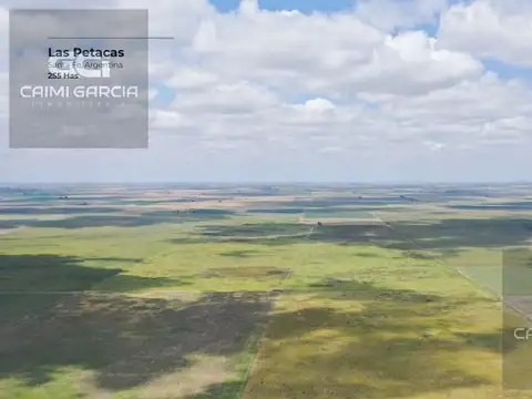 CAMPO DE 255 HECTAREAS EN LAS PETACAS