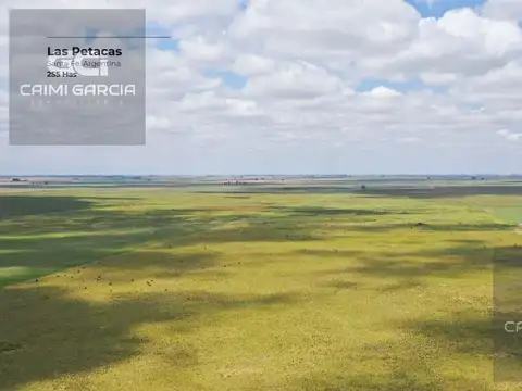 CAMPO DE 255 HECTAREAS EN LAS PETACAS