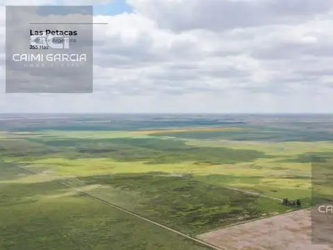 Campo de 255 hectáreas en Las Petacas, Santa Fe