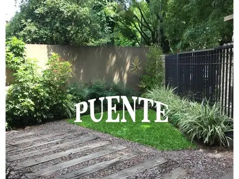 Suarez 244
