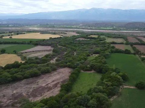 VENTA FINCA 34 HECTAREAS EN TALAPAMPA, SALTA