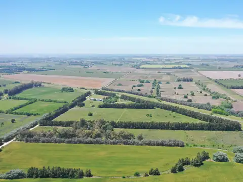 Campo sobre Ruta 193 en Chenaut