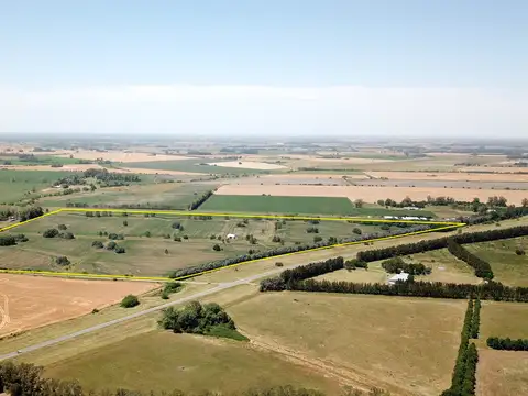 Campo sobre Ruta 193 en Chenaut