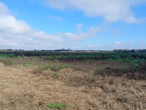 VENTA TERRENO DESARROLLO INMOBILIARIO COLONIA TIROLESA