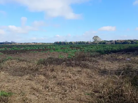 Terreno en Venta 571  mts Fondo
