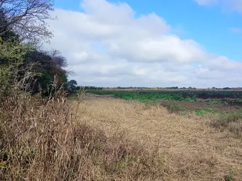 VENTA CAMPO PARA DESARROLLO INMOBILIARIO COLONIA TIROLESA