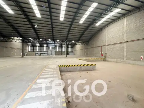 Galpon en Alquiler 40  mts Frente