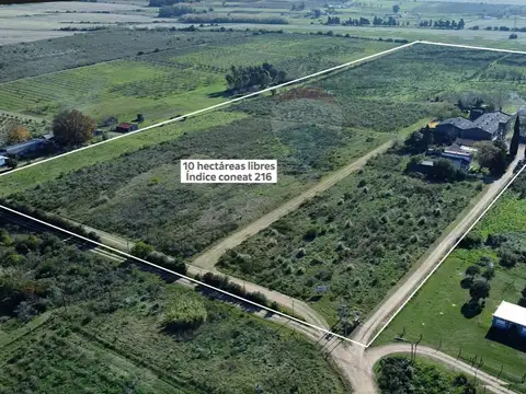 VENTA BODEGA O DEPOSITO 10 HECTAREAS, TOLEDO CHICO