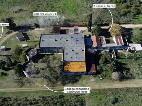 Camino de las Tropas 3100