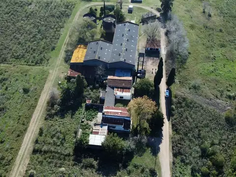 VENTA BODEGA O DEPOSITO 10 HECTAREAS, TOLEDO CHICO