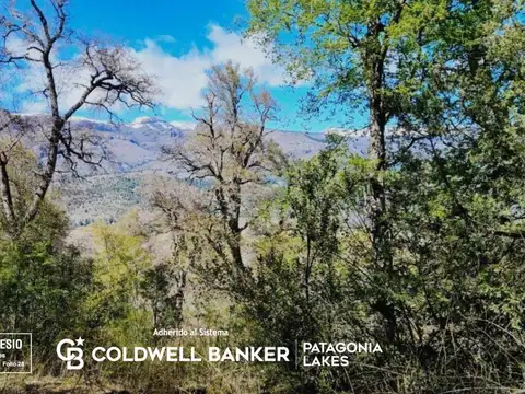 VENTA  Lote/Terreno 3 Hectáreas Vega Maipu San Martin de los Andes