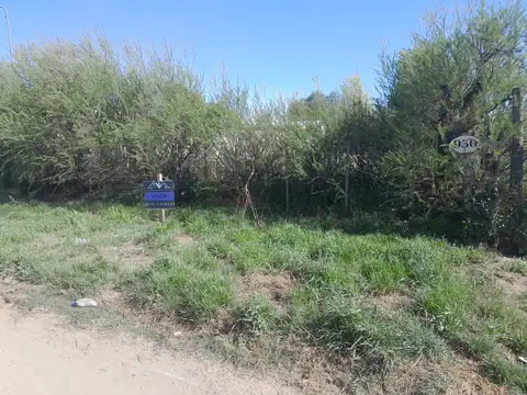 Terreno en Venta de 300,0 m2