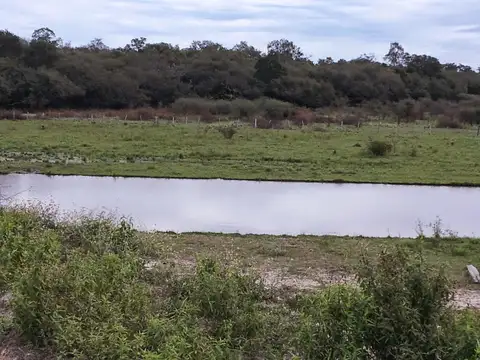Campo en Venta Ganadero