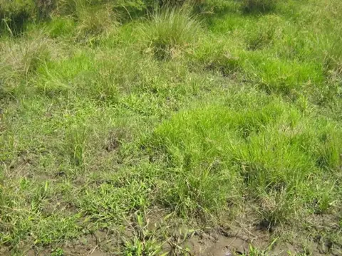 Ruta 2