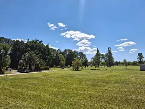 Terreno en Venta 31  mts Fondo