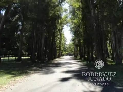 Haras San Pablo 100