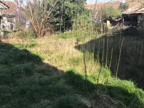 Galpon en Alquiler 32  mts Fondo