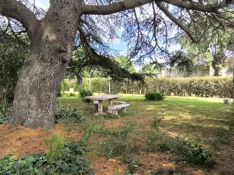 Quinta en Venta en Cañuelas, USD 60.000