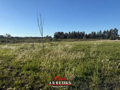 Terreno en Venta 44  mts Fondo