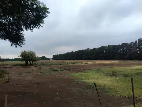 Campo en Venta con Alambrado