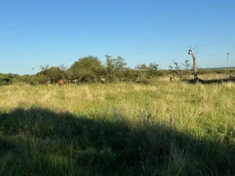 Campo en Venta de 62  ha