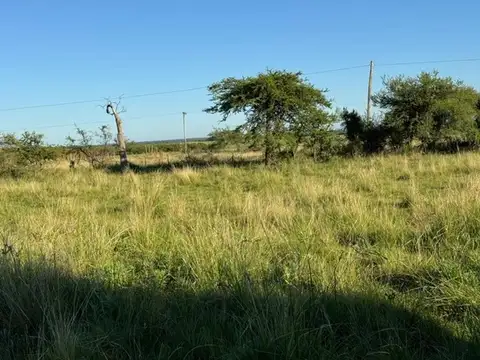 Campo en Venta Ganadero
