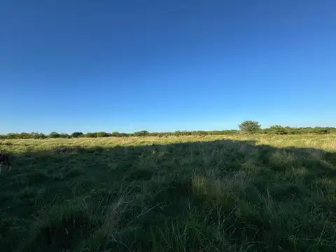 Campo en Venta de 62  ha