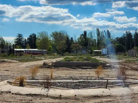 Ruta Provincial N16 y Las Turberas, El Carrizal, Luján de Cuyo, Mendoza