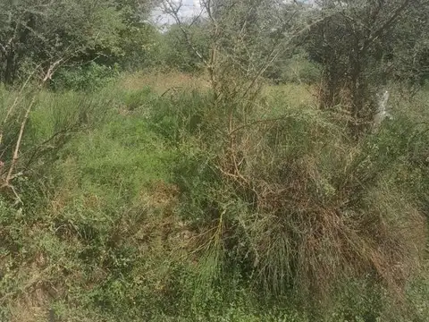 Ernesto Cabezas Mz 29 L15