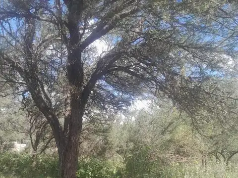 Terreno en Venta en Cosquin, USD 3.800