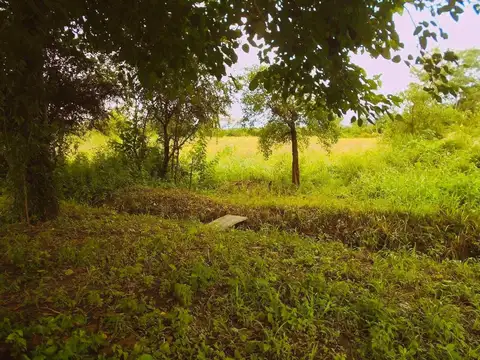 TERRENO VENTA CHICOANA FINCA BELLA VISTA
