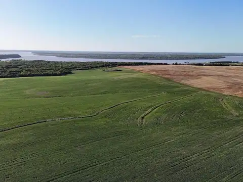 Campo mixto en curtiembre