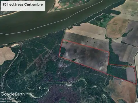 70 Hectareas Mixtas En Curtiembre