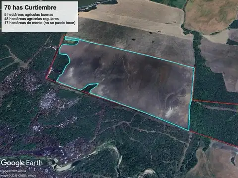 Campo mixto en curtiembre