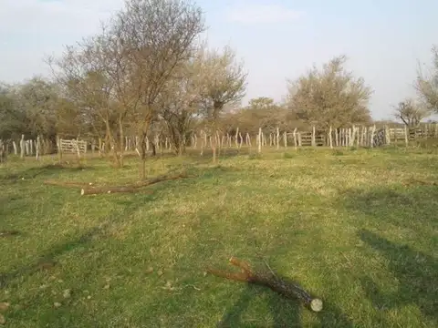 Campo en Sauce de Luna