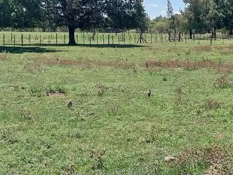 Terreno en Venta en Arroyo De La Cruz, USD 40.000