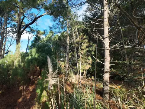 Terreno en Venta en Pinamar, USD 79.500