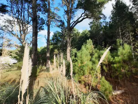 Cul de Sac de la Popa al 100