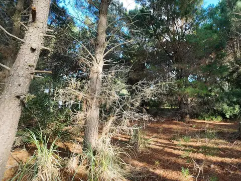 Terreno en Pinamar