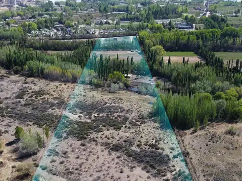 VENTA DE 7.8 HECTAREAS EN PLOTTIER