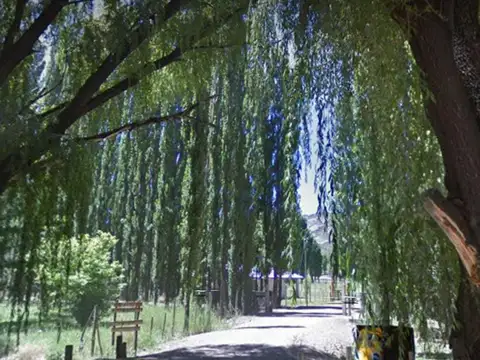 Venta Lote Comercial y Residencial Uspallata Mza