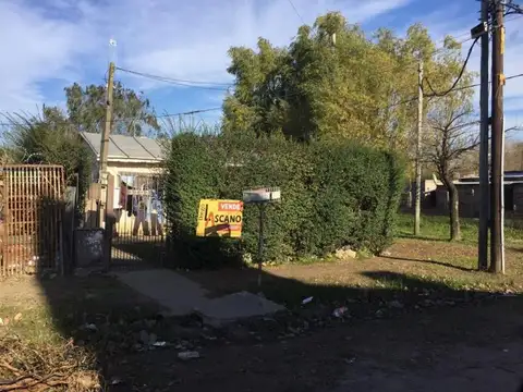 Cañas 3700