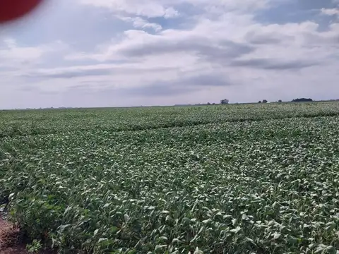 Pergamino  Estación Ayerza