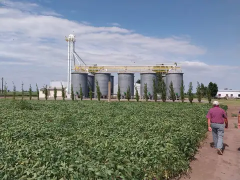 Campo en Pergamino 515 has. del mejor suelo Argentino